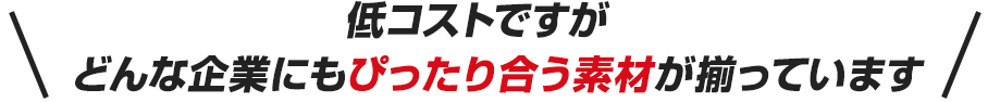 低コストですが 　どんな企業にもぴったり合う素材が揃っています 